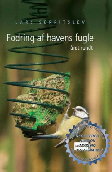 Fodring af havens fugle året rundt